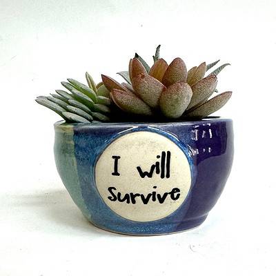 Home - 6 inch plant pot - I Will Survive