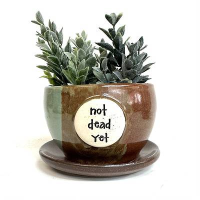 Home - 4 inch plant pot - Not Dead Yet