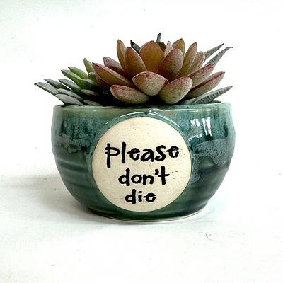 Home - 6 inch plant pot - Please Don't Die