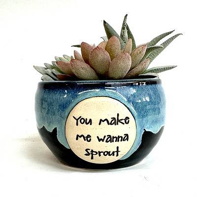 Home - 4 inch plant pot - You Make Me Wanna Sprout