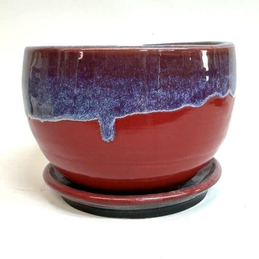 Home - 2 inch plant pot - Blank - Image 5