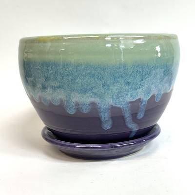 Home - 6 inch plant pot - Blank